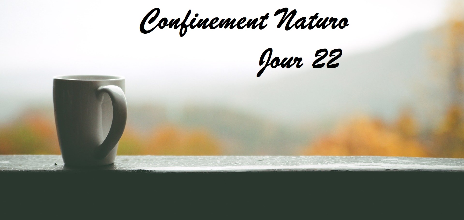 Confinement Naturo (lettre 22) – Fenêtre Thérapeutique